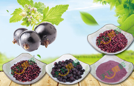 冻干蓝莓产品系列Freeze-dried blueberry product series