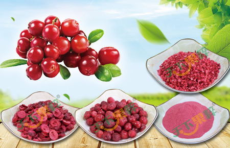 冻干蔓越莓产品系列Freeze-dried cranberry product series